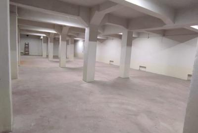 Hala depozitare sau productie 600 mp. Comision 0% - 2