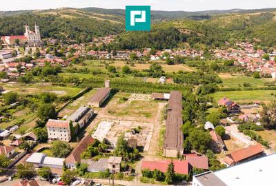 Spațiu industrial cu Teren 13.072 mp în Lipova - 6