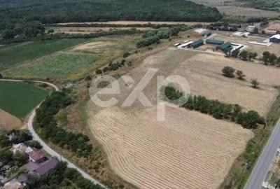 Black Angus Farm with authorized Slaughterhouse - 5