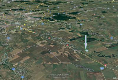 Teren cu PUZ aprobat, între lacuri, păduri și București. Superb. Zona Frumusani. - 5