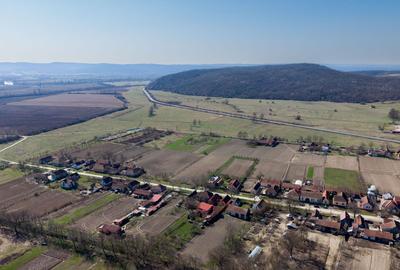 Loc de casă în Odvoș - Conop 3000mp - 11