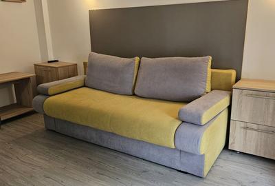 Apartament 1 camera de inchiriat in vila, zona Centru-Primarie - 6