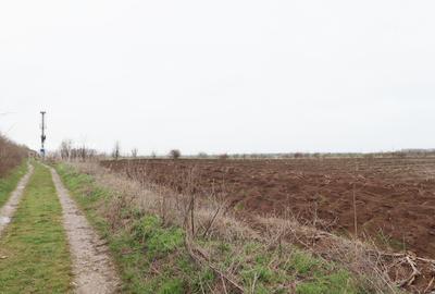 Teren 4000 mp lângă Pădurea Petrești | Investiție dezvoltare | Corbeanca - 5
