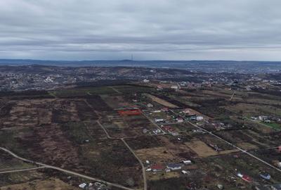 Teren Construcții intravilan de 1109 mp, în Săldăbagiu de Munte