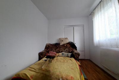 DOUA CASE DE VANZARE - ZONA  RACADAU - SINGUR IN CURTE - 14