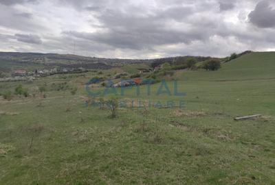 Comision 0! teren intravilan 5500mp, utilitati,  zona, strazii Veseliei Borhanci - 2