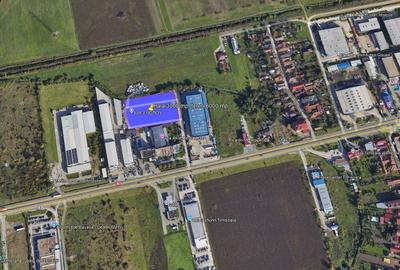 Hala logistica/industriala de vanzare in Timisoara-Calea Lugojului 3000 mp. - 1