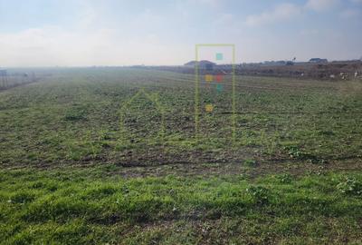 Teren agricol in intravilanul comunei Sacalaz. - 3