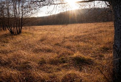 Teren extravilan | Vicovu de Jos | Preț 27.000 | Negociabil - 1