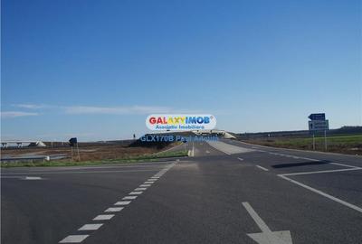 Teren Sanagov 5000 mp latura direct padure Casa Vlasia Nod A3 - 2