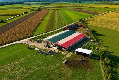 FILM! 18.000 mp, extravilan, agricol+ constructii:ferma,investitii agricole, Rot - 3