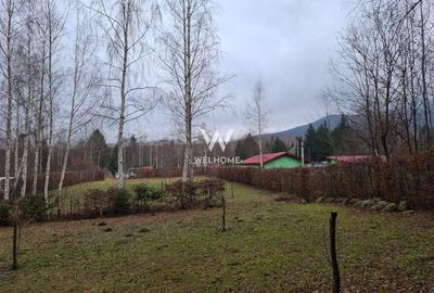 Teren deosebit pozitionat, cu livada, langa padure,  pe Valea Avrigului - 1