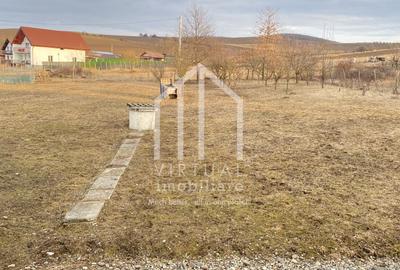 Casa de vanzare in Sibiu,  parter si mansarda, teren de 2000mp - 15