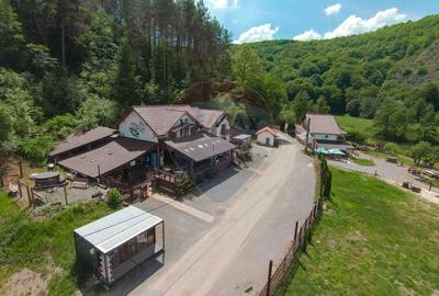 Pensiune cu 6 camere și restaurant de vânzare în Șuncuiuș - 20