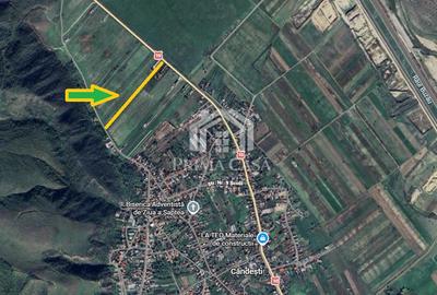Teren in zona Candesti BZ 6400mp cu deschidere 12m la DN10 Pret: 5 mp neg - 3