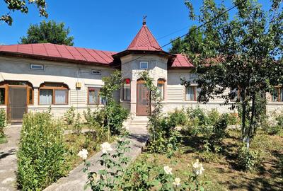 VANZARE CASA + TEREN 1000 MP. - ODAIA TURCULUI, DB - 1