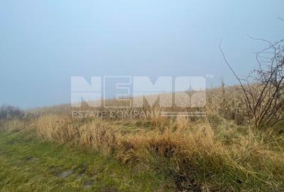 TEREN EXTRAVILAN | DOUA PARCELE 2.84 HA| DARMANESTI - 1