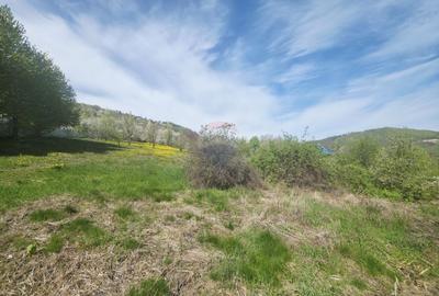 Teren 1,000mp Piatra-Neamt / Zona Fermelor - 8