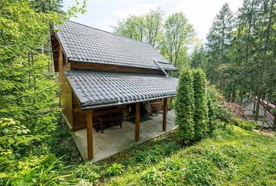 FILM! Rezidenta pe apreciabile conditii, in statiunea Sugas Bai, Covasna - 21