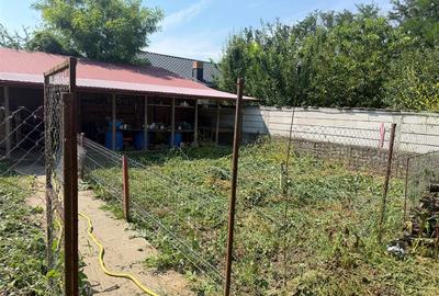 Casa din lemn masiv | 3 camere | Teren 5.000mp -Berceni Prahova - 15