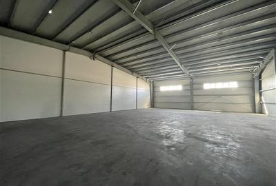 Inchiriere depozit/hala/spatiu industrial Pantelimon - Centura - 10