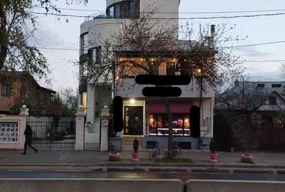 Proprietate specială, 165 mp în Aviației