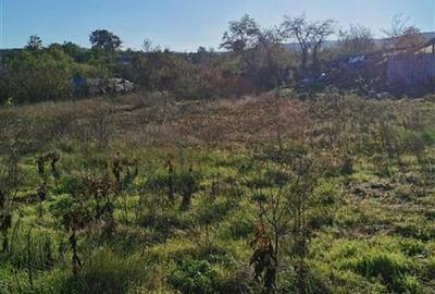 Teren de vanzare in Nifon Tulcea - 5