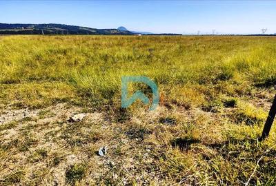 Comision ZERO, Vanzare teren , zona Tabara, DN 73 - Brasov - 8