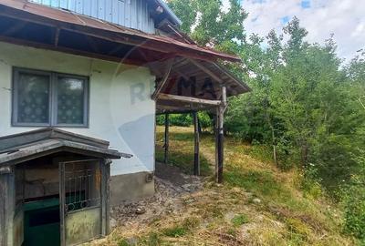 Teren Intravilan de vanzare 3551mp Poiana Copaceni Com Gura Vitioarei - 17