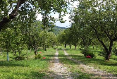 Proprietate unică în Piatra Doamnei – Corbi, Argeș - 2