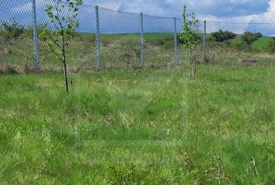 Teren extravilan 2000 mp, împrejmuit, panoramă superbă – Sălicea (Cluj) - 9