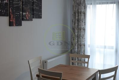 Apartament 2 camere de inchiriat Doamna Stanca - 12