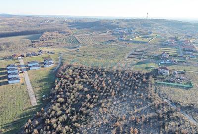 Teren intravilan cu dublu front stradal, de vanzare,Paleu - 2