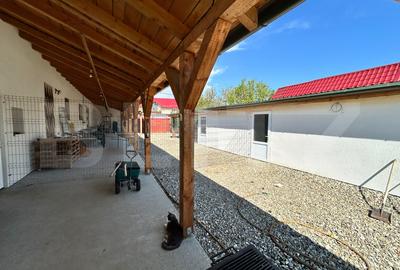 Casa individuala langa Bod, ARIUSD/Valcele - 14