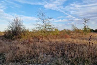 OCAZIE! Balotesti - Narciselor teren intravilan 427 mp desch. 20 m, utilitati - 1