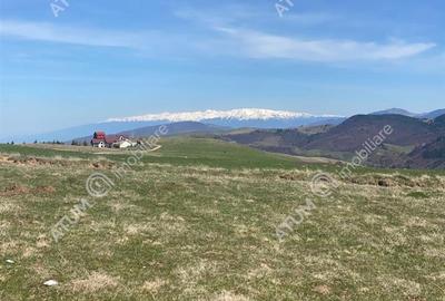 Teren intravilan de 3000 mp cu utiltati si PUZ in Paltinis Judet Sibiu - 12
