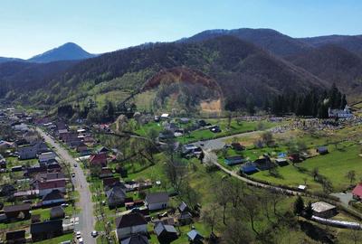 Teren 1,106mp Baia Mare / Strada Firiza - 1