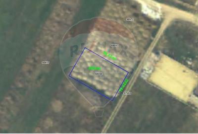 Teren agricol intravilan de 600 mp, în Sânmartin