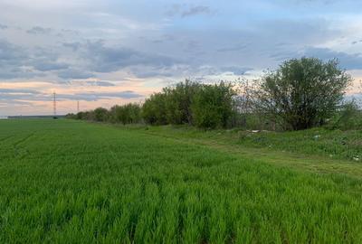 DJ200  Stefanesti de Jos / Dascalu    - Targoviste Gaesti  Vanzare  Teren - 6