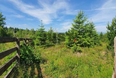 Ai obosit să cauți liniștea în cafenele? Cumpăr-o cu tot cu priveliște. - 1