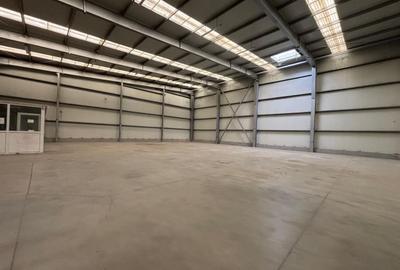 Spatiu industrial 458.21 mp in Calea Sagului - 1