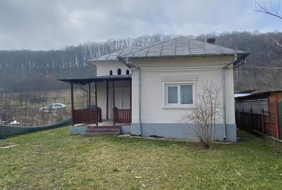 Casa + teren intravilan S= 3200 mp, Dobrogostea, Argeș - idealimob.ro - 2