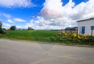 De vânzare – Teren industrial 8.500 mp, Grivitei/Calea Feldioarei - 6