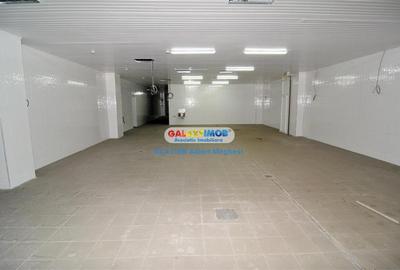 Vanzare spatiu productie alimentara P-ta Delfinului - 7