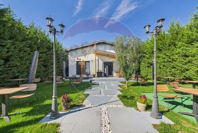 Spațiu comercial /Restaurant cu terasa superba in comuna Berceni - 2