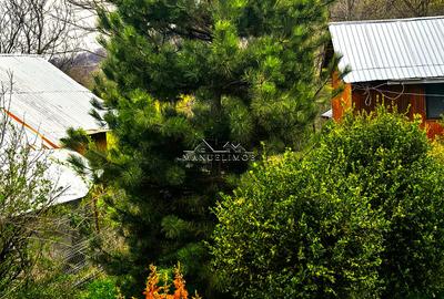 Casa Breaza 116Mp , teren 2500Mp ,zona de deal superba - 5