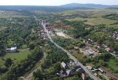 Teren 10.000 mp Calatele – Apuseni, langa rau, ideal investitie turism - 15