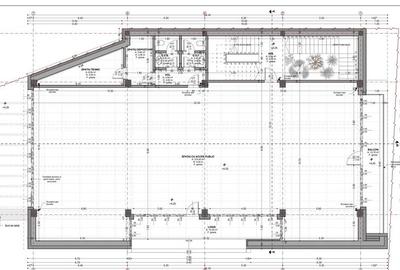 Spatiu servicii acces public 250mp, Aurel Vlaicu, zona str. Rodnei - 8
