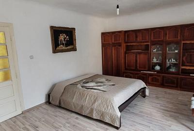 Casa D+P+E 4 camere, strada Nicolae Beldiceanu - 12