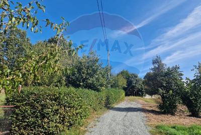 Teren agricol intravilan de 50602 mp, în Cicârlău